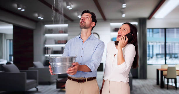 Best Ceiling water damage repair  in Cavalier, ND